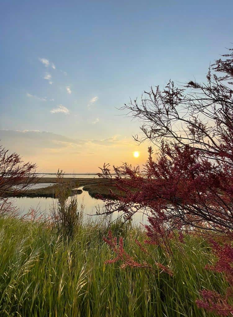 Tramonto sulla laguna di Cavallino