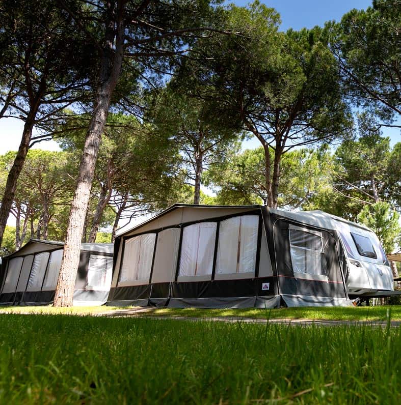Foto del Caravan Pineta con veranda chiusa