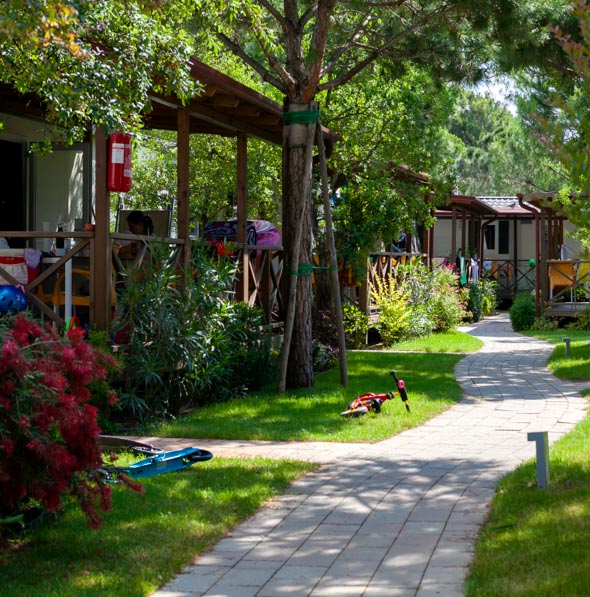 Viale nel verde tra le mobile home