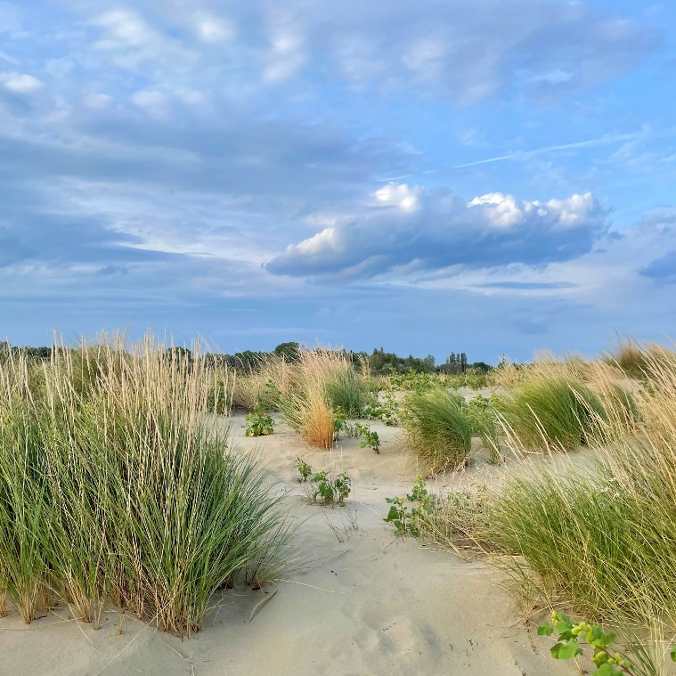 Dettaglio della spiaggia libera