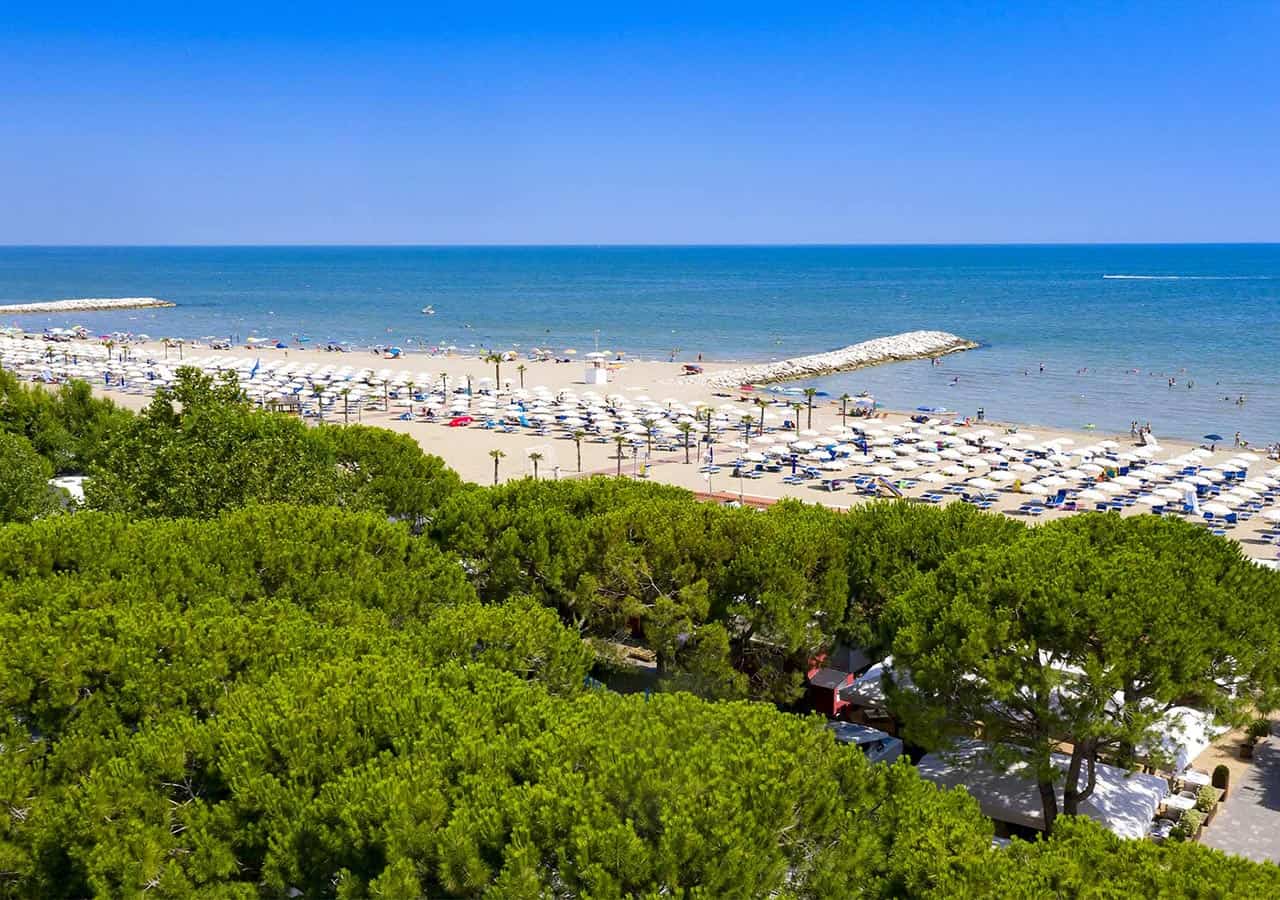 Panoramica aerea della pineta con la spiaggia sullo sfondo